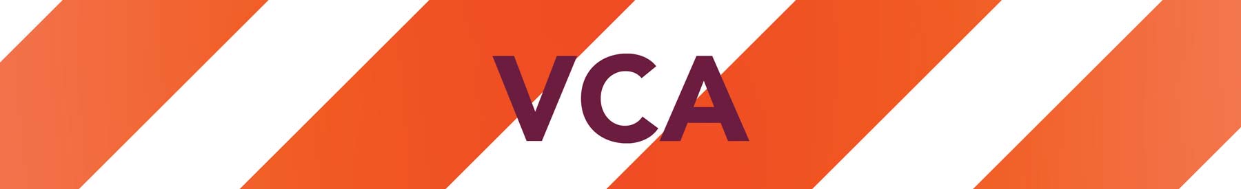 hoofding VCA opleiding
